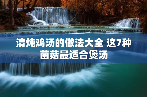 清炖鸡汤的做法大全 这7种菌菇最适合煲汤