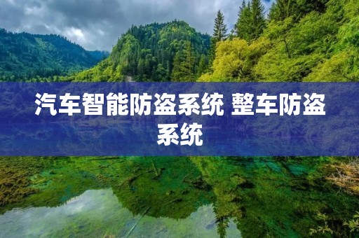 汽车智能防盗系统 整车防盗系统 汽车智能防盗系统 整车防盗系统