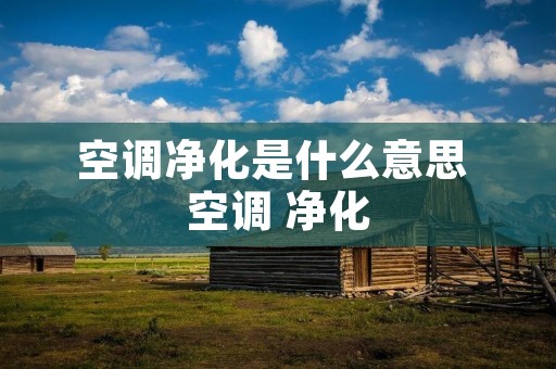 空调净化是什么意思 空调 净化