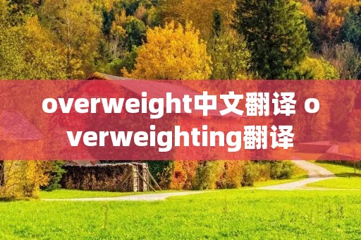 overweight中文翻译 overweighting翻译