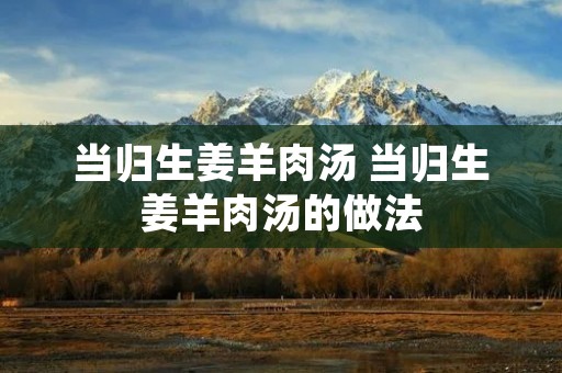 当归生姜羊肉汤 当归生姜羊肉汤的做法