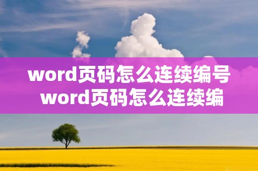 word页码怎么连续编号 word页码怎么连续编号打印