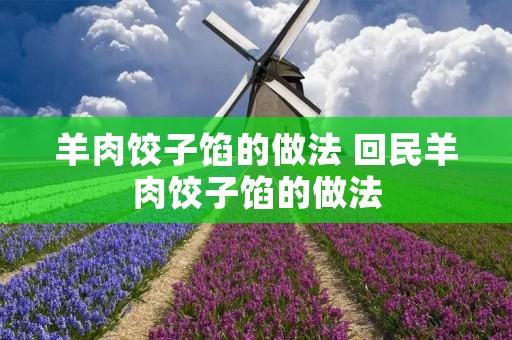 羊肉饺子馅的做法 回民羊肉饺子馅的做法