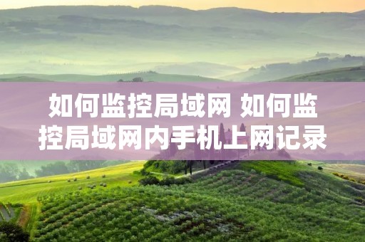 如何监控局域网 如何监控局域网内手机上网记录 如何监控局域网 如何监控局域网内手机上网记录