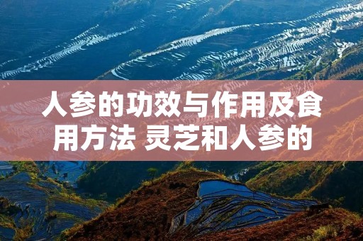 人参的功效与作用及食用方法 灵芝和人参的功效与作用及食用方法 人参的功效与作用及食用方法 灵芝和人参的功效与作用及食用方法