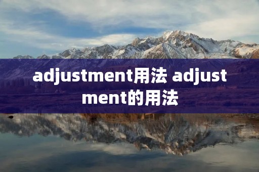 adjustment用法 adjustment的用法
