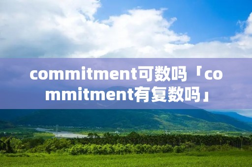 commitment可数吗「commitment有复数吗」