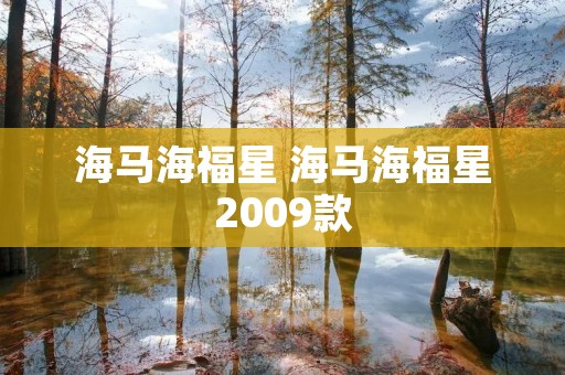 海马海福星 海马海福星2009款