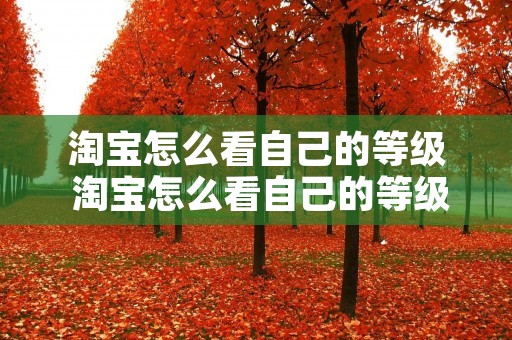 淘宝怎么看自己的等级 淘宝怎么看自己的等级多少
