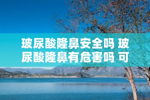 玻尿酸隆鼻安全吗 玻尿酸隆鼻有危害吗 可以维持多久 玻尿酸隆鼻安全吗 玻尿酸隆鼻有危害吗 可以维持多久