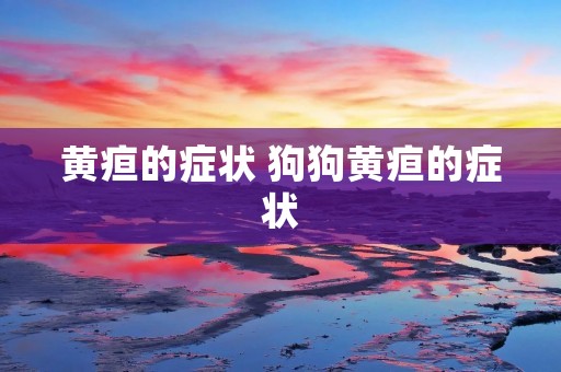 黄疸的症状 狗狗黄疸的症状
