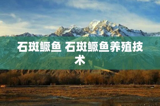 石斑鳜鱼 石斑鳜鱼养殖技术 石斑鳜鱼 石斑鳜鱼养殖技术