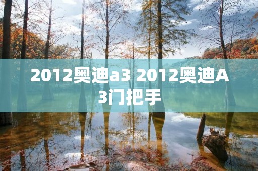 2012奥迪a3 2012奥迪A3门把手 2012奥迪a3 2012奥迪A3门把手