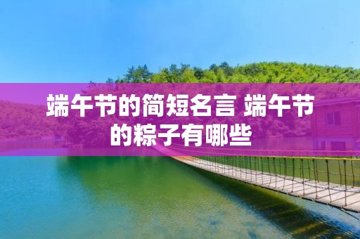 端午节的简短名言 端午节的粽子有哪些