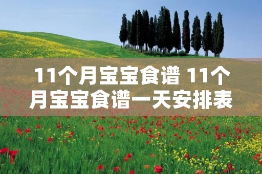 11个月宝宝食谱 11个月宝宝食谱一天安排表 11个月宝宝食谱 11个月宝宝食谱一天安排表