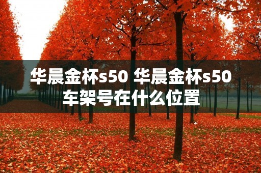 华晨金杯s50 华晨金杯s50车架号在什么位置