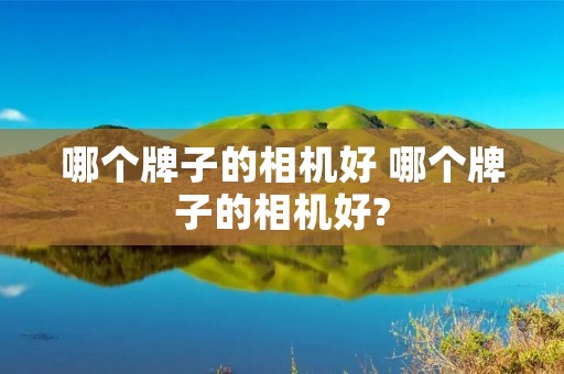 哪个牌子的相机好 哪个牌子的相机好? 哪个牌子的相机好 哪个牌子的相机好?