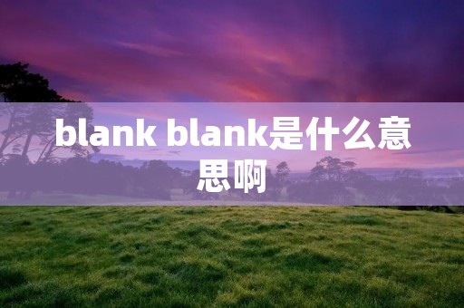 blank blank是什么意思啊