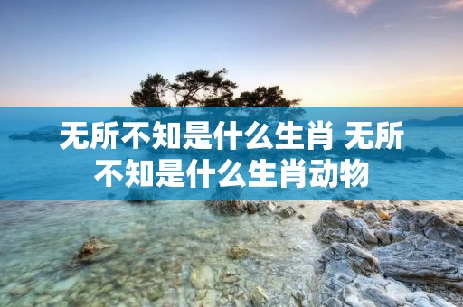 无所不知是什么生肖 无所不知是什么生肖动物