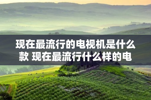 现在最流行的电视机是什么款 现在最流行什么样的电视机