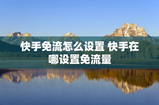 快手免流怎么设置 快手在哪设置免流量 快手免流怎么设置 快手在哪设置免流量