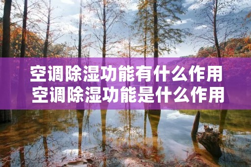 空调除湿功能有什么作用 空调除湿功能是什么作用