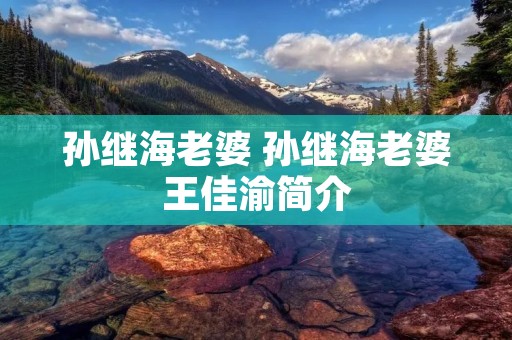 孙继海老婆 孙继海老婆王佳渝简介
