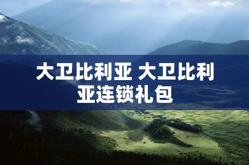 大卫比利亚 大卫比利亚连锁礼包