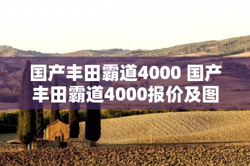 国产丰田霸道4000 国产丰田霸道4000报价及图片