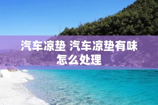 汽车凉垫 汽车凉垫有味怎么处理 汽车凉垫 汽车凉垫有味怎么处理