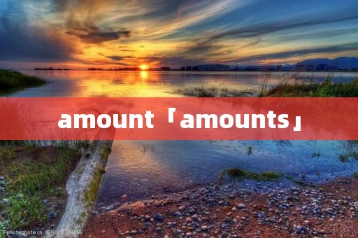 amount「amounts」 amount「amounts」