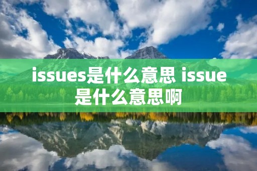 issues是什么意思 issue是什么意思啊