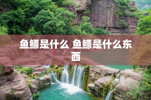 鱼鳔是什么 鱼鳔是什么东西 鱼鳔是什么 鱼鳔是什么东西