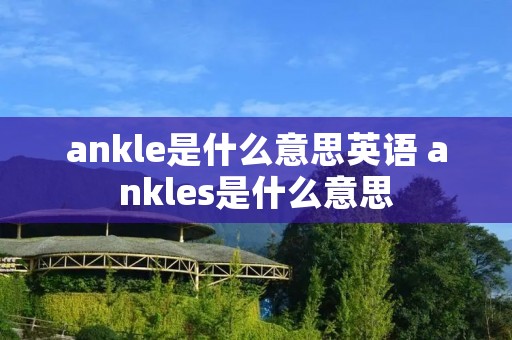 ankle是什么意思英语 ankles是什么意思