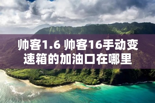 帅客1.6 帅客16手动变速箱的加油口在哪里