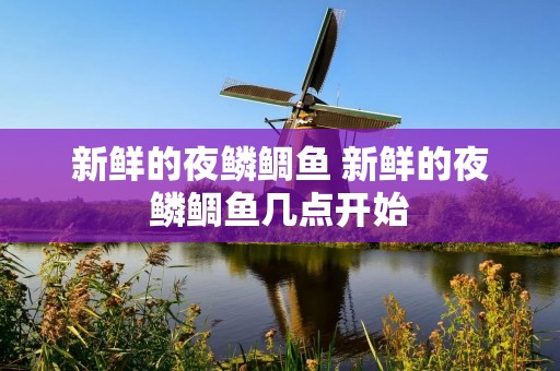 新鲜的夜鳞鲷鱼 新鲜的夜鳞鲷鱼几点开始