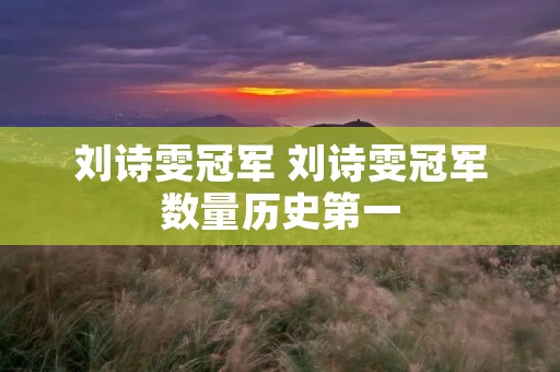 刘诗雯冠军 刘诗雯冠军数量历史第一 刘诗雯冠军 刘诗雯冠军数量历史第一