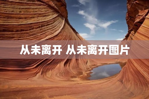 从未离开 从未离开图片