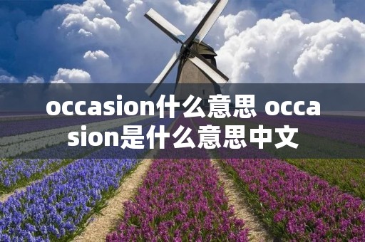 occasion什么意思 occasion是什么意思中文