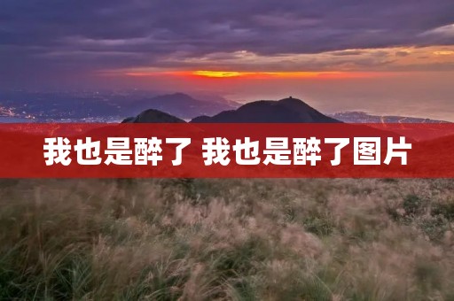 我也是醉了 我也是醉了图片 我也是醉了 我也是醉了图片