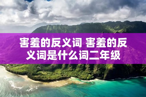 害羞的反义词 害羞的反义词是什么词二年级