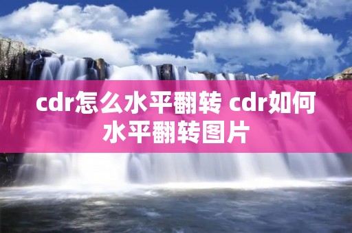 cdr怎么水平翻转 cdr如何水平翻转图片