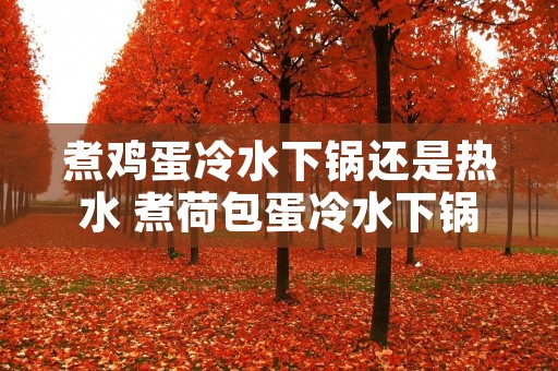 煮鸡蛋冷水下锅还是热水 煮荷包蛋冷水下锅还是热水 煮鸡蛋冷水下锅还是热水 煮荷包蛋冷水下锅还是热水
