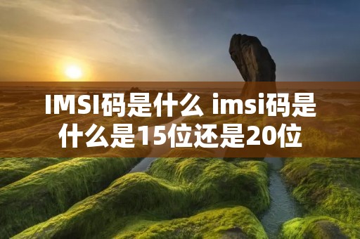 IMSI码是什么 imsi码是什么是15位还是20位 IMSI码是什么 imsi码是什么是15位还是20位