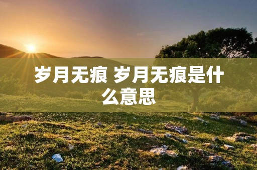岁月无痕 岁月无痕是什么意思