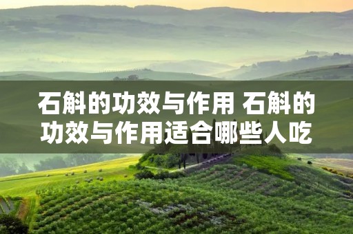 石斛的功效与作用 石斛的功效与作用适合哪些人吃 石斛的功效与作用 石斛的功效与作用适合哪些人吃
