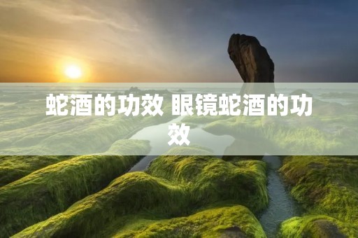 蛇酒的功效 眼镜蛇酒的功效