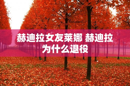 赫迪拉女友莱娜 赫迪拉为什么退役 赫迪拉女友莱娜 赫迪拉为什么退役