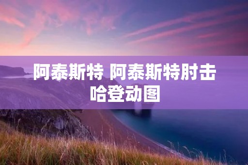 阿泰斯特 阿泰斯特肘击哈登动图