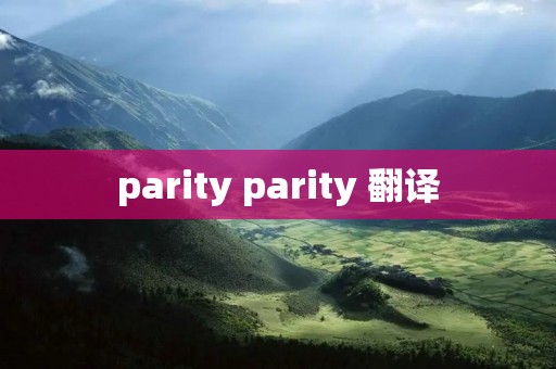 parity parity 翻译